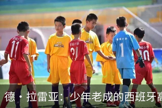德·拉雷亚：少年老成的西班牙高控卫 高薪球队放养解压好选择